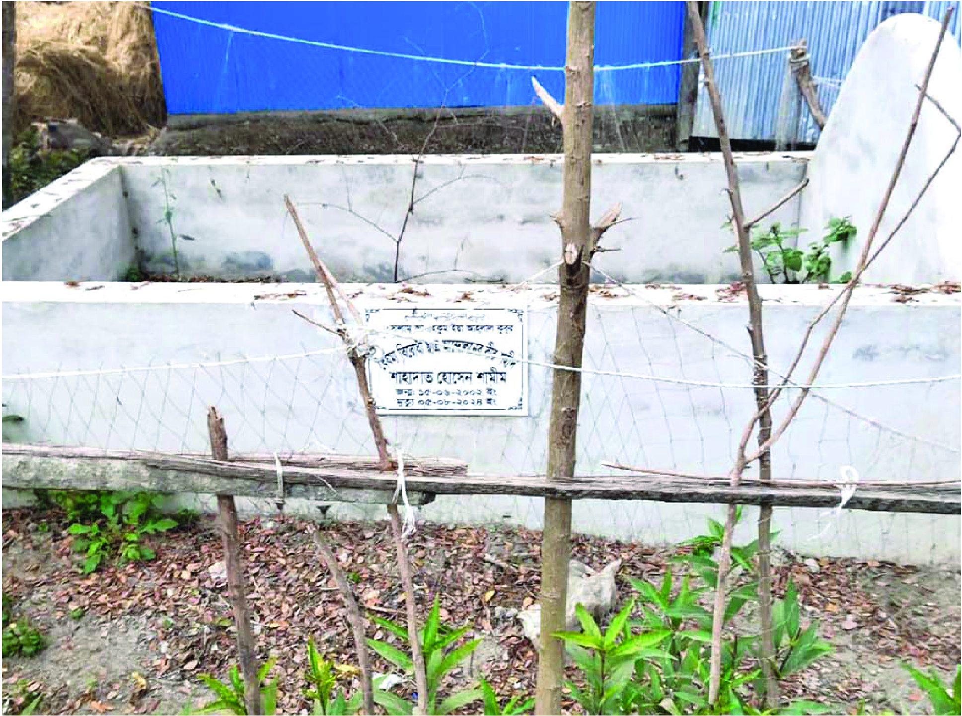 Image of শাহাদাত হোসেন শামীম